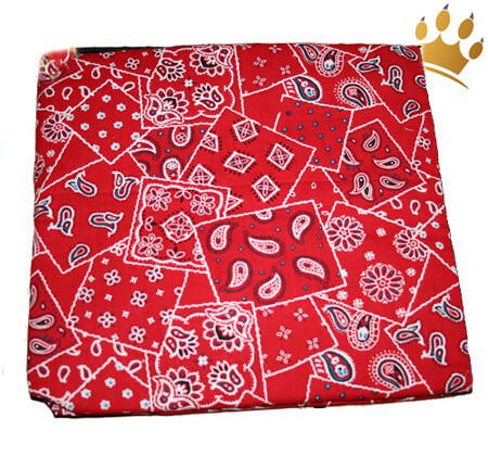 Aqua Cool-Keeper Matt Rot