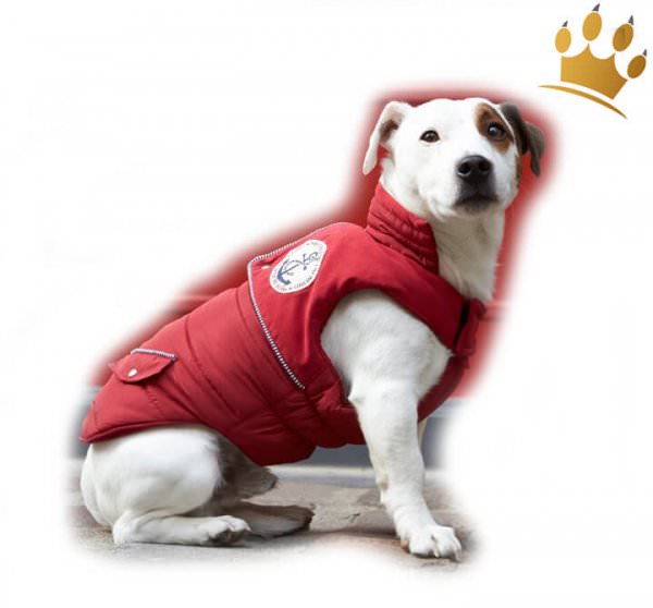 Hundemantel VOILE Red