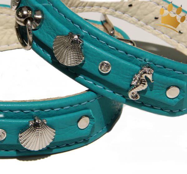 Hundehalsband Meeresbrise Türkis