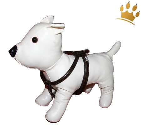 Hundegeschirr Kroko Bones Petite Schwarz