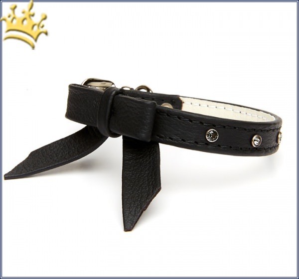 Hundehalsband Faszination Schwarz