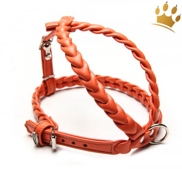 Leder-Hundegeschirr Ascot Orange Detail