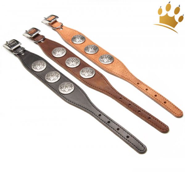 Hundehalsband Greyhound Pigall alle