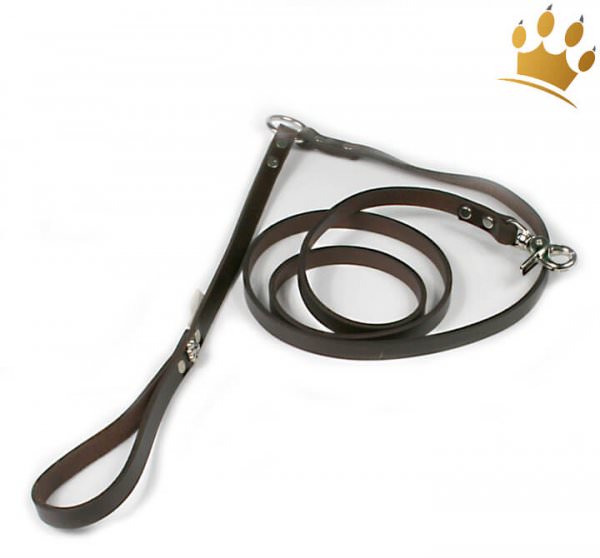 Hundeleine Pet Flys Paw Braun