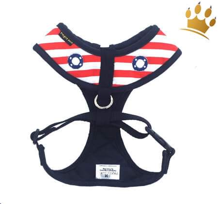 Softgeschirr Lifeguard Blau Rücken