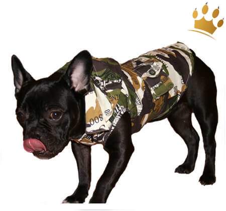 Adventure-Jacket Fortune