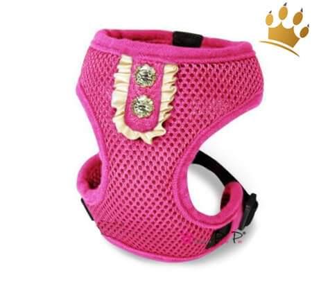 Hundegeschirrset 4 in1 Rokoko Pink