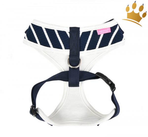 Softgeschirr Cordelia Blue Rücken