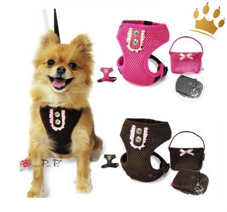 Hundegeschirrset 4 in 1 Rokoko Coffee