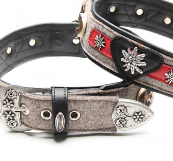 Hunde-Lederhalsband Fesche Vroni Detail