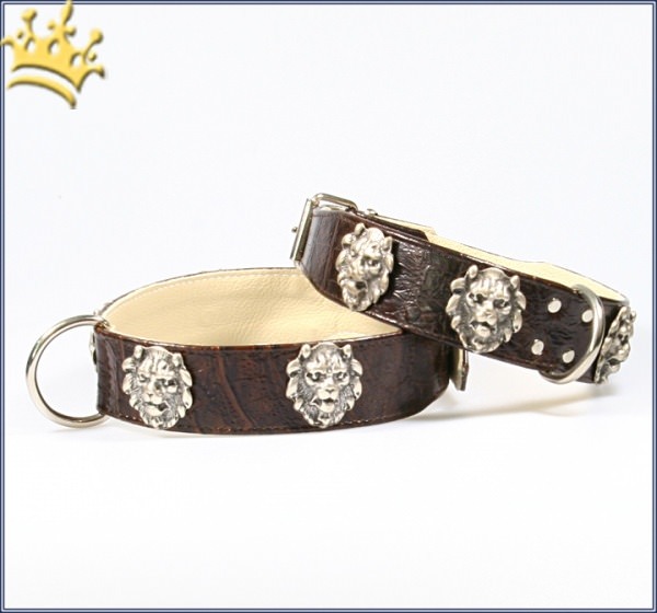 Hundehalsband Lionheart