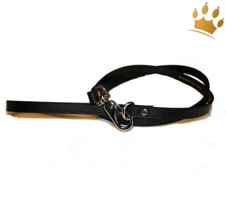 Hundeleine Brilliant Paw schwarz