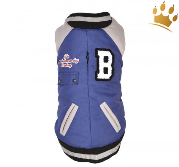 Hundemantel College Tyler Blau