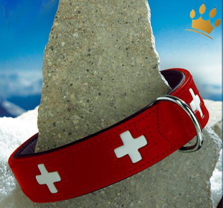 Hundehalsband Swiss rot