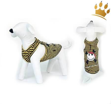 Hundeshirt Tortuga Gelb