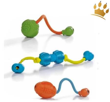 Hundespielzeug Dental-Play