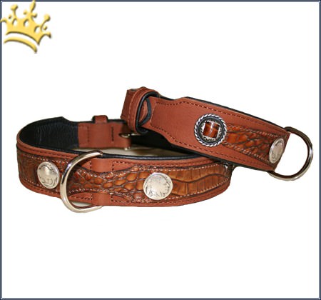 Hundehalsband Western