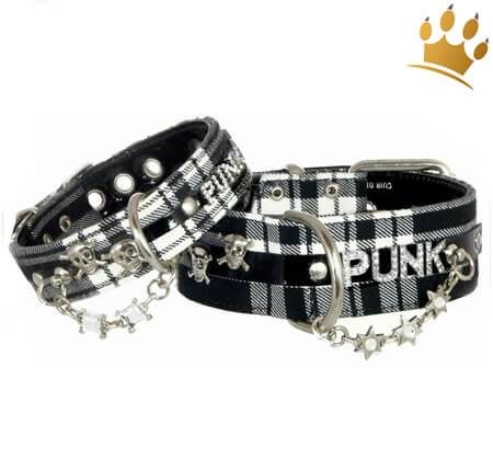 Hundehalsband Crasy Punk