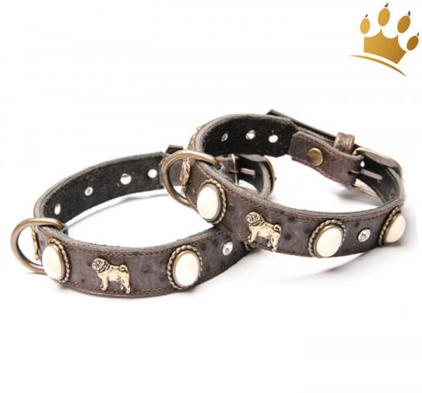 Motivhalsband Mops Deluxe Braun