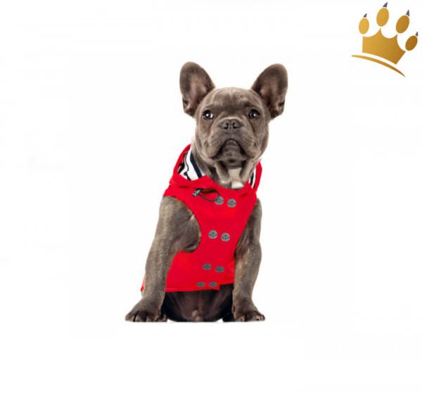 Milk & Pepper Hunderegenmantel Barbord Rot