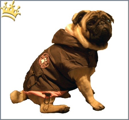 Hundemantel City Paw Rosa