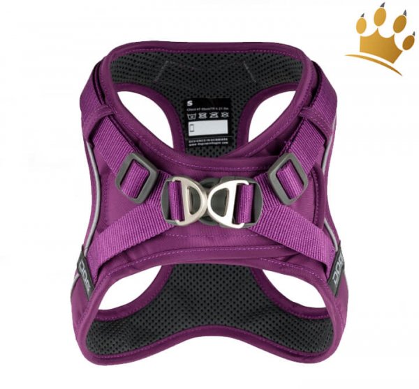 Dog Copenhagen Comfort Walk Go Purple Passion