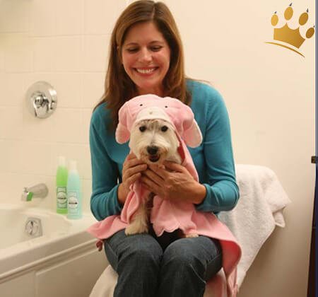 Hundebadehandtuch Häschen