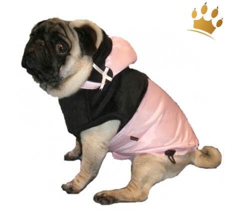 Hundemantel Little Missy Schwarz
