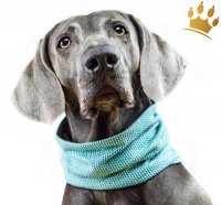 Hundeschal Hundeloop Schickobello Petrol Hundeschal Hundeloop Schickobello Petrol