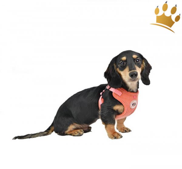 Puppia Step-In Geschirr Classy verstellbar Peach Dackel