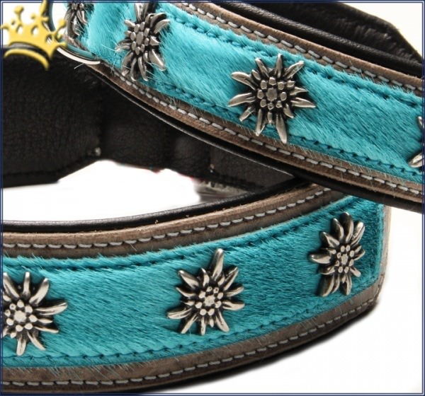 Hundehalsband Gipfelstürmer Türkis Detail