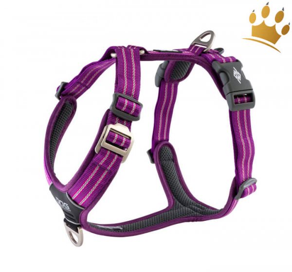 Dog Copenhagen Hundegeschirr V2 Walk Air Purpel Passion