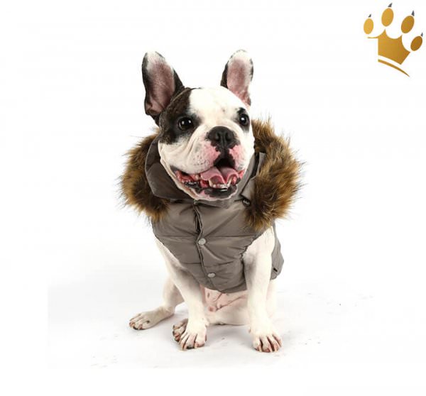 Puppyangel Hundemantel Down Hood Grau
