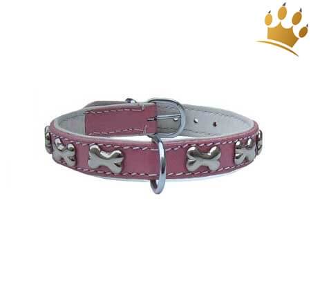 Hundehalsband Blinking Bones Rosa