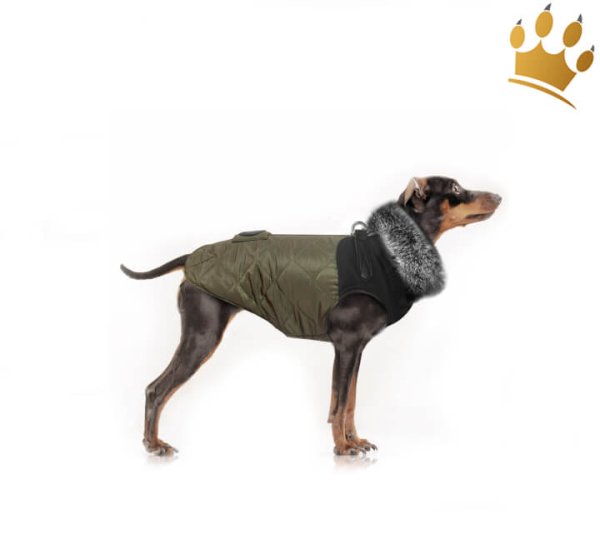 Milk & Pepper Gustave Hundemantel Olive