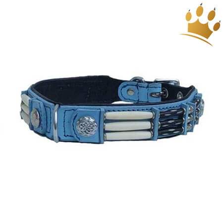 Hundehalsband Blue Eagle 25mm