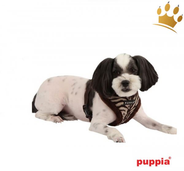 Puppia Softgeschirr Modern Zebra Braun