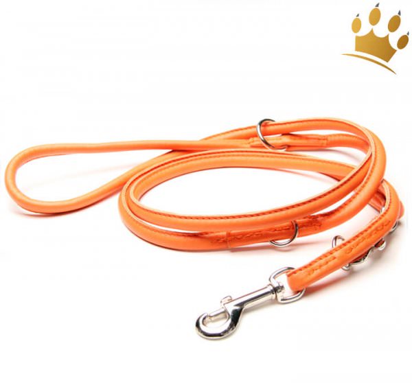 Malucchi Hundeleine GhiBli Braun