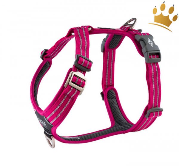 Dog Copenhagen Hundegeschirr V2 Walk Air Wild Rose