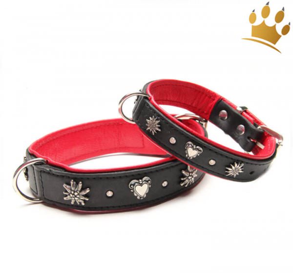 Halsband Zürs Deluxe Schwarz-Rot