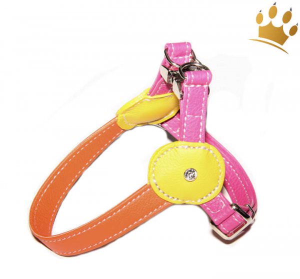 Malucchi Hundegeschirr Movie Tuttifrutti Multi