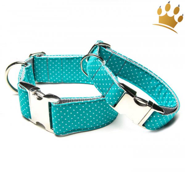 Hundehalsband Little Dotty Türkis