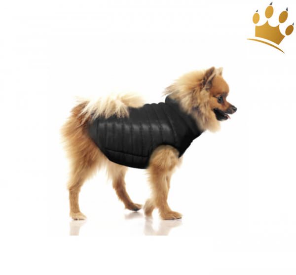 Hundemantel zum wenden Nordik - Türkis / Schwarz