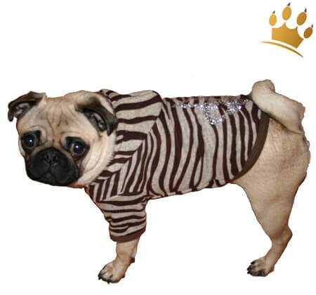 Hundesweater Soft Zebra
