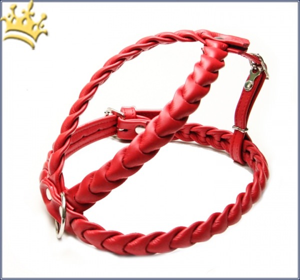Leder-Hundegeschirr Ascot Rot