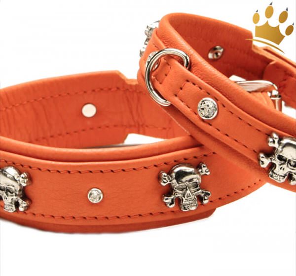 Hundehalsband Crazy Scully Orange