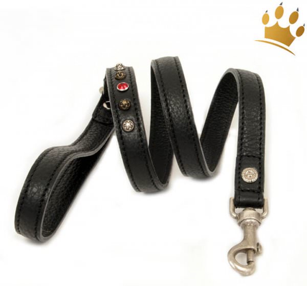 Malucchi Hundeleine Samarcanda