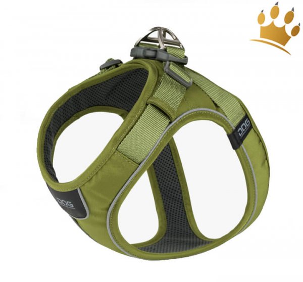 Dog Copenhagen Comfort Walk Go Hunting Green