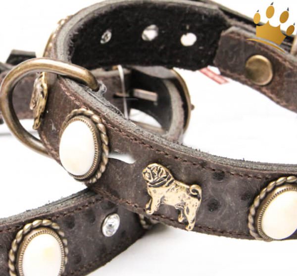 Motivhalsband Mops Deluxe Braun Detail