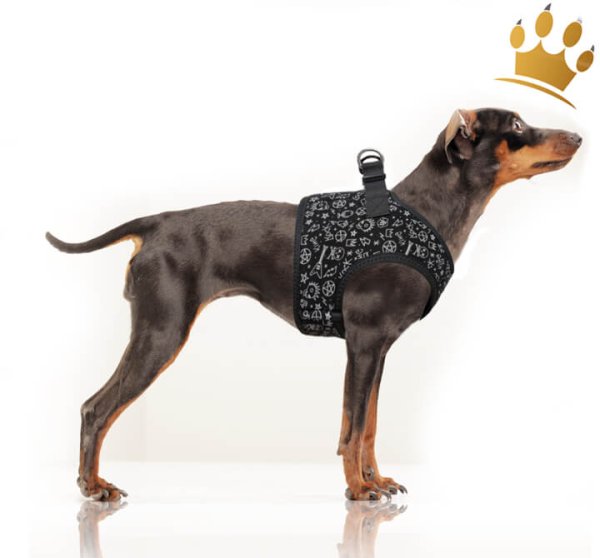 Milk & Pepper Step InTravis Hundegeschirr